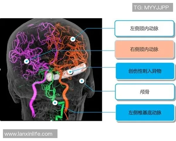深度剖析上海足球队防反体系的战术布局与实战应用 深度剖析上海足球队防反体系的战术布局与实战应用