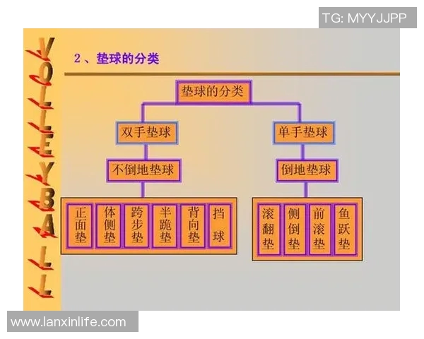 西安排球队反击战术解析与排球热点深度剖析