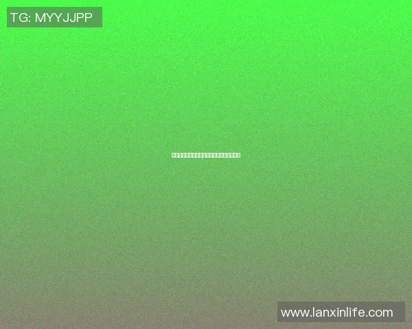 十一号足球明星的传奇之路与背后的故事揭秘